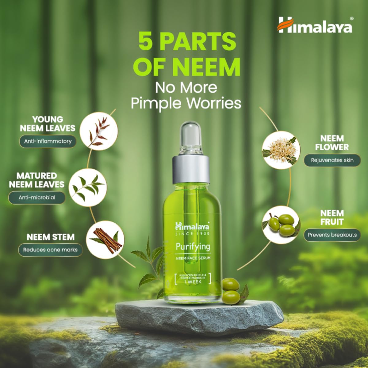 Purifying Neem Face Serum | 2% Natural Salicylic Acid & Cica & Neem | Reduces Acne & Acne Marks | Tightens pores & soothes inflammation | Made with 98% Natural Origin Ingredients | Made for Acne prone skin | 30 ml