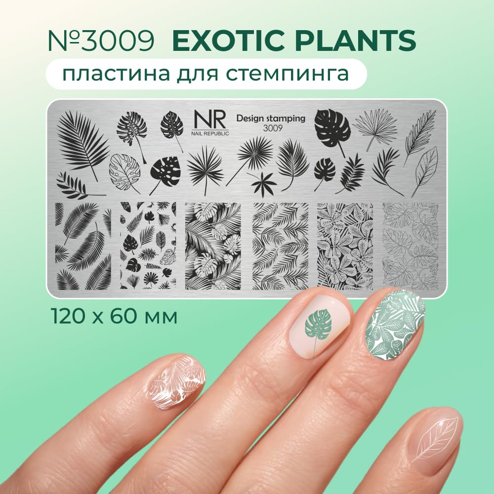Nail Republic Nail Stamping Plate – Metal Nail Art Template for Manicure Designs | Alchemy Collection | Professional Nail Stamping Kit