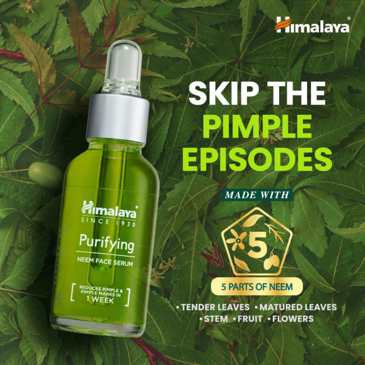 Purifying Neem Face Serum | 2% Natural Salicylic Acid & Cica & Neem | Reduces Acne & Acne Marks | Tightens pores & soothes inflammation | Made with 98% Natural Origin Ingredients | Made for Acne prone skin | 30 ml